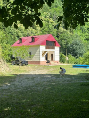 Holiday house in nature